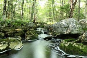 5 Best Waterfalls in the Halifax Region image