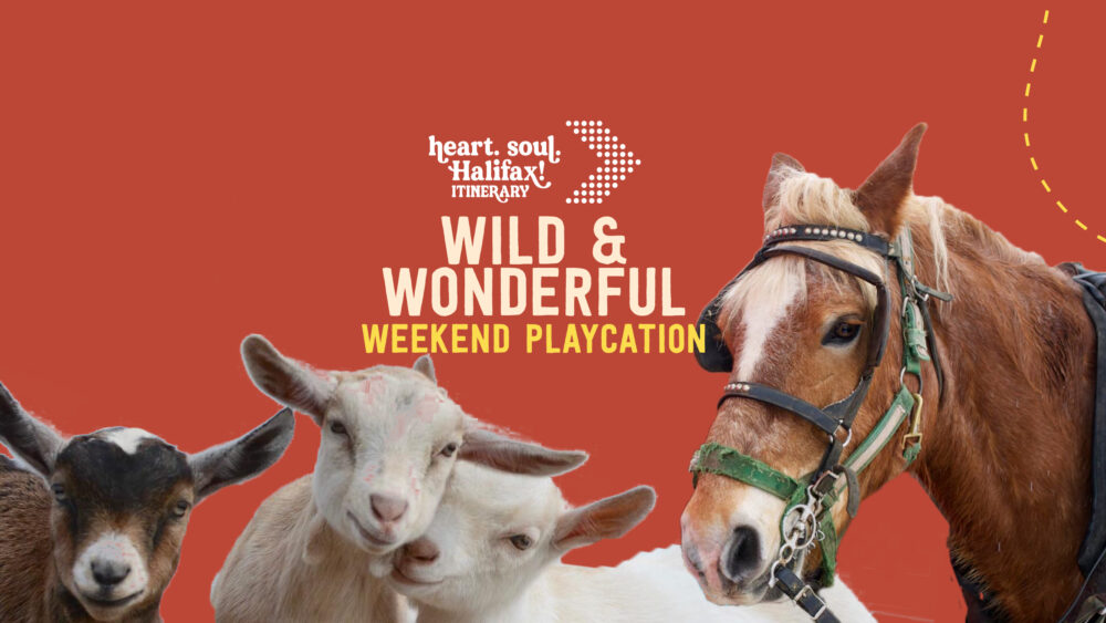 Wild & Wonderful Weekend Playcation gallery image