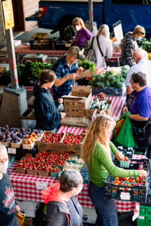 Ask a Local: Shop and Eat Farm-to-Table in Halifax image
