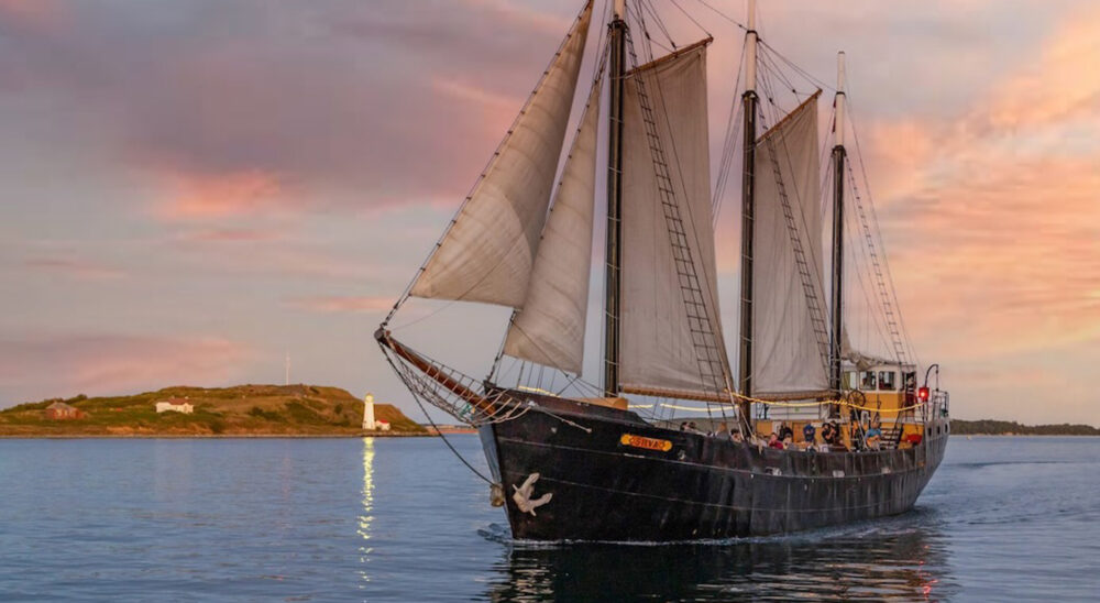 Ambassatours Gray Line image