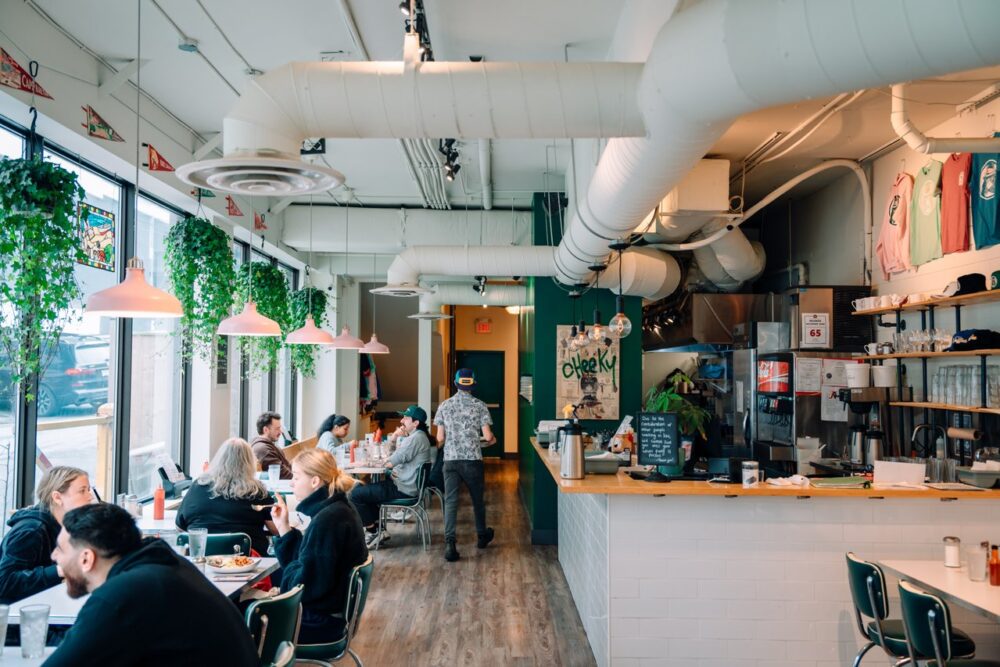 Cheeky Neighbour image