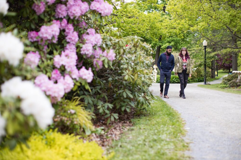 Eyelevel Artist-Run Centre image