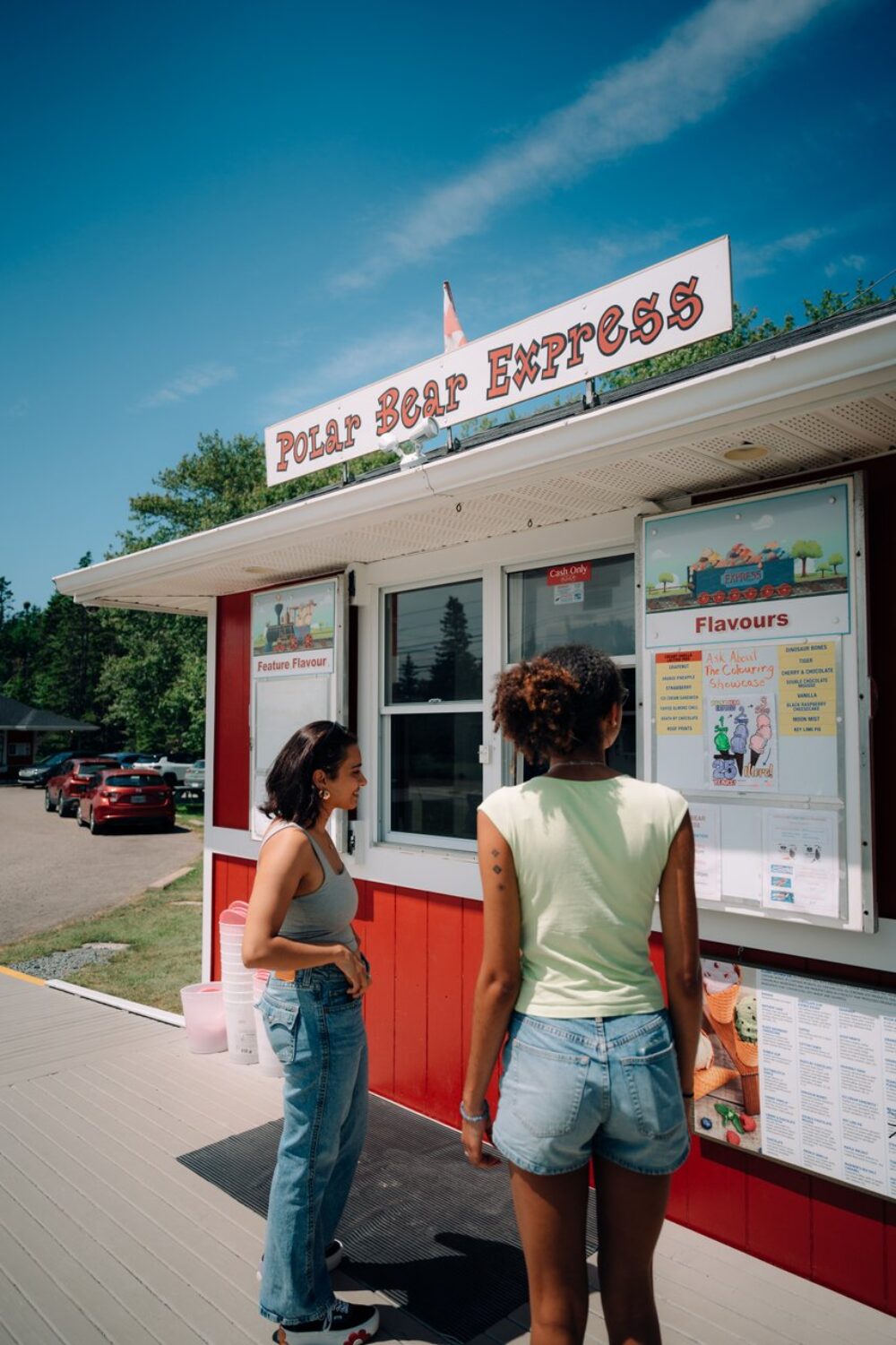 Polar Bear Express Ice Cream image