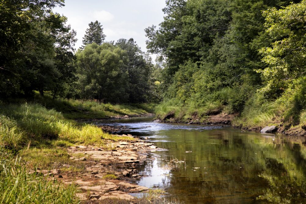 Elderbank Waterway Provincial Park image