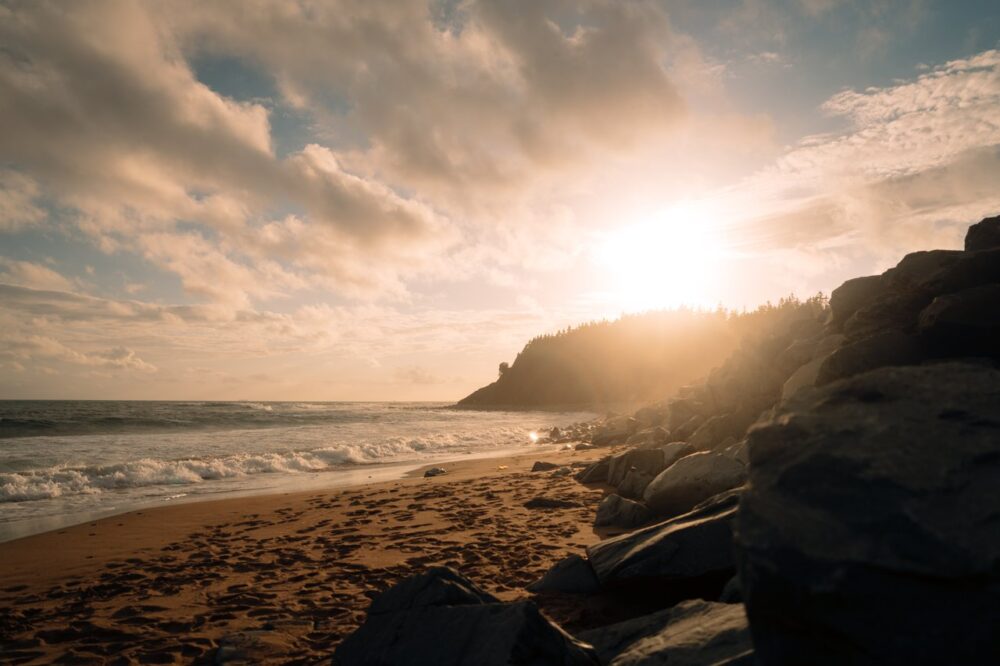 Lawrencetown Beach Provincial Park image
