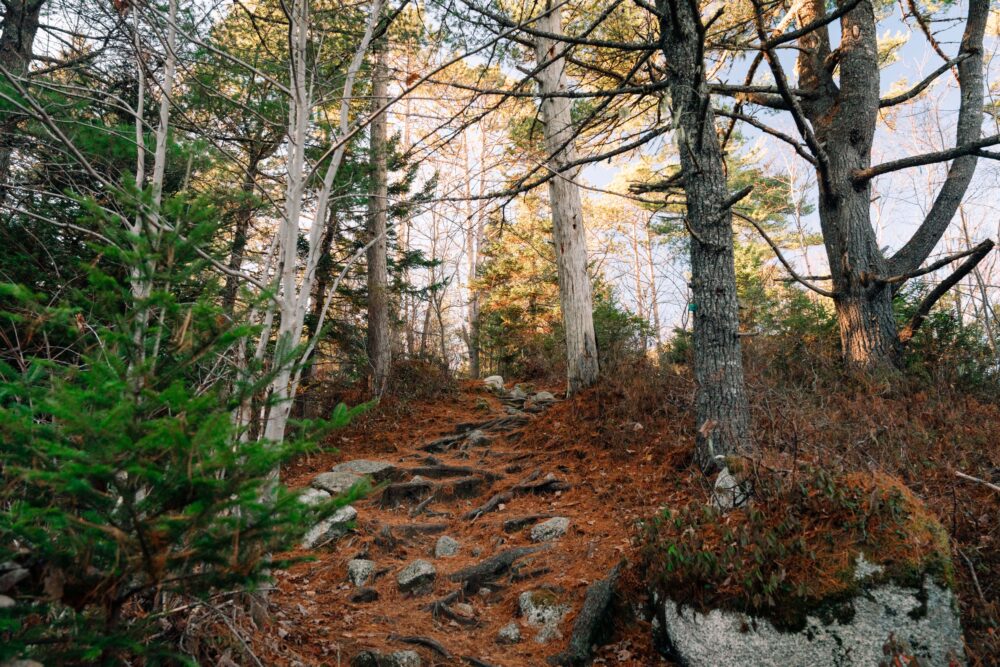 Crowbar Lake Hiking Trail image