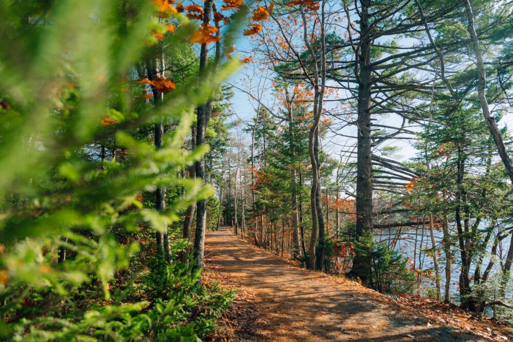 First Lake Glen Slauenwhite Trail image