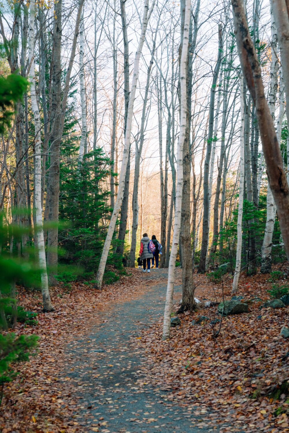 Kearney Lake Trails image