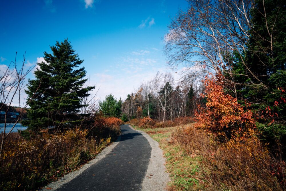 McIntosh Run Community Trail image