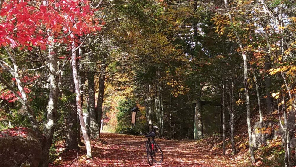 Musquodoboit Trailway (Trans Canada Trail) image