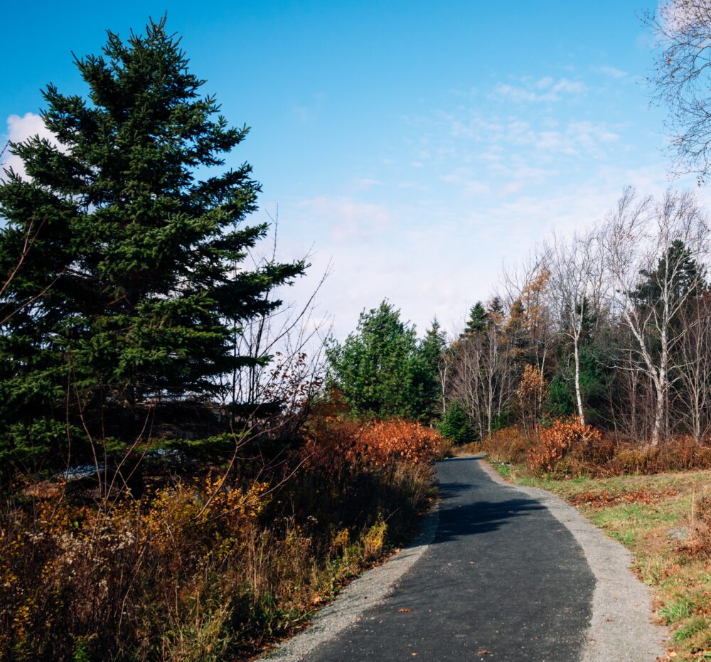 Portland Lakes Greenway image