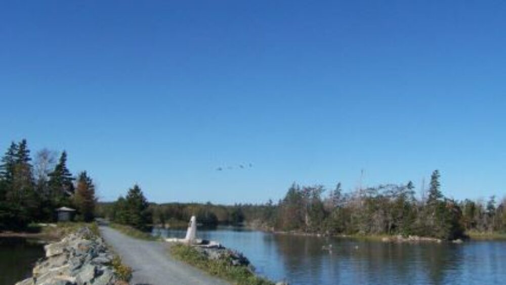 Salt Marsh Trail & Shearwater Flyer Trail (Trans Canada Trail) image
