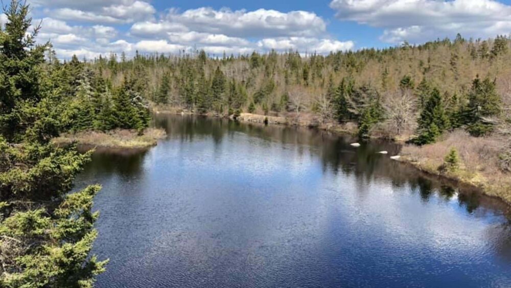 St. Margaret's Bay Trail (part of Rum Runners Trail) image