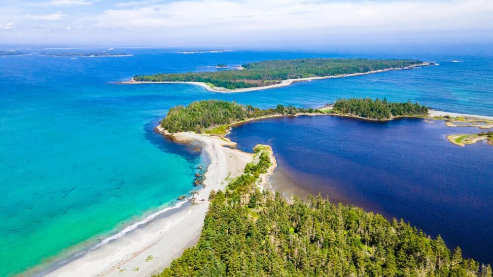 Taylor Head Provincial Park image