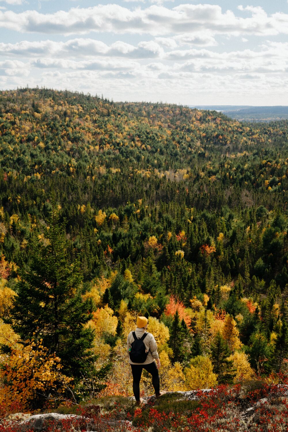The Bluff Wilderness Hiking Trail image