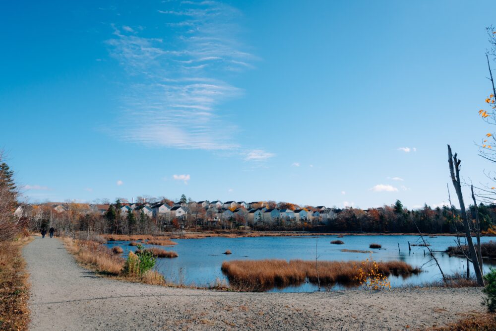 Belchers Marsh Park Trails image