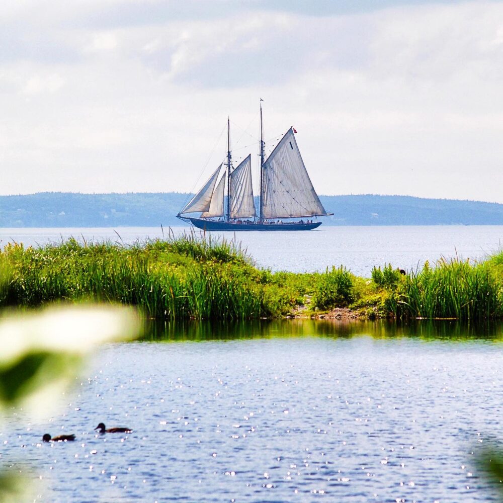 Cleveland Beach Cottage image