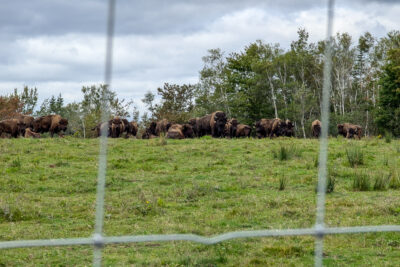 Hecktic Travels does Musquodoboit Valley image