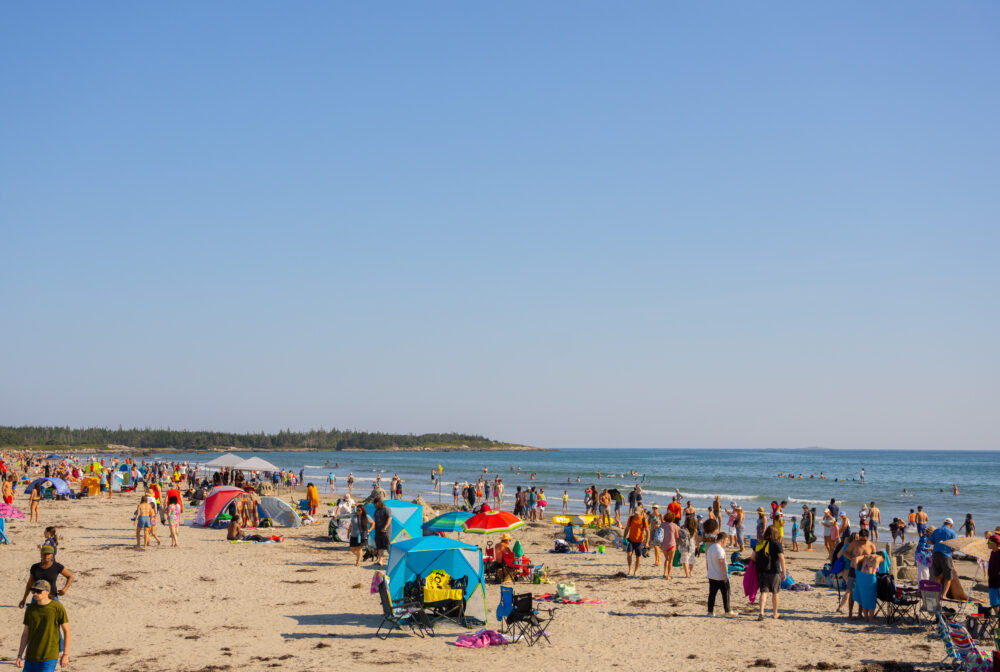 Seaside Eco Cycling Tour gallery image