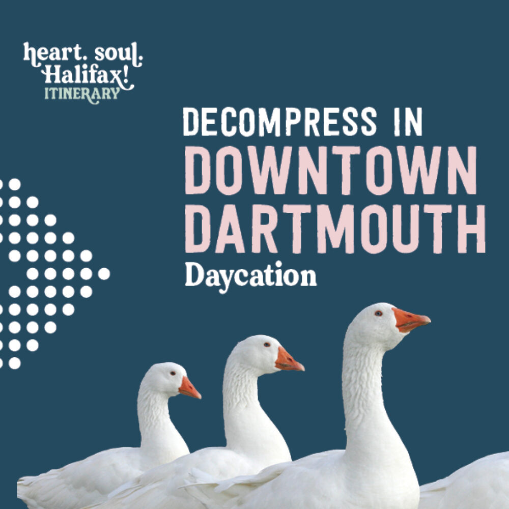Downtown Dartmouth Daycation gallery image