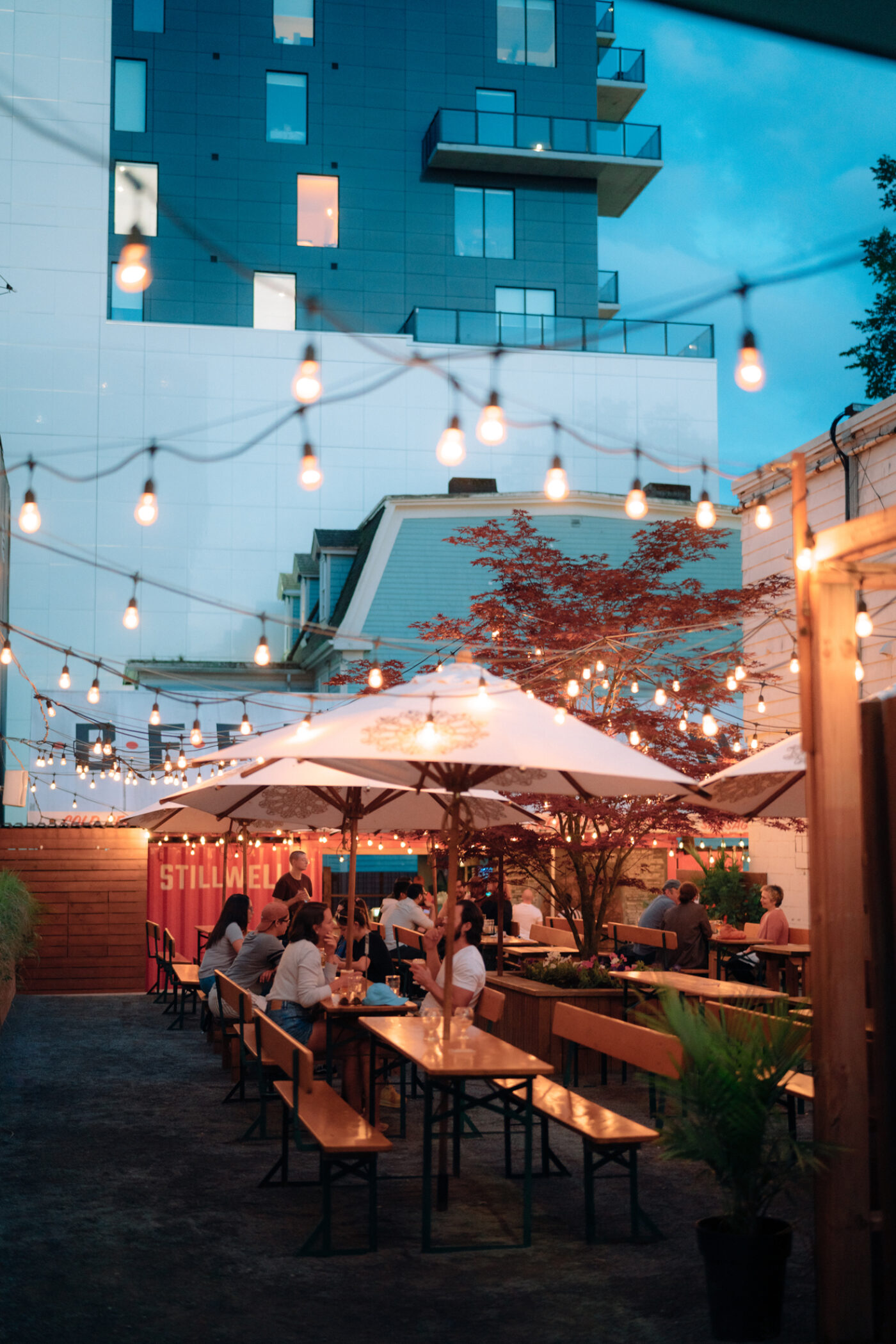 Nightlife hero image