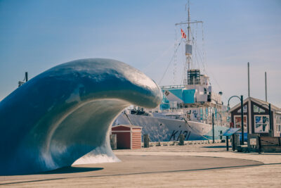 Wayves Magazine image