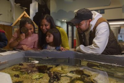 Kid-Approved Indoor Activities and Attractions image