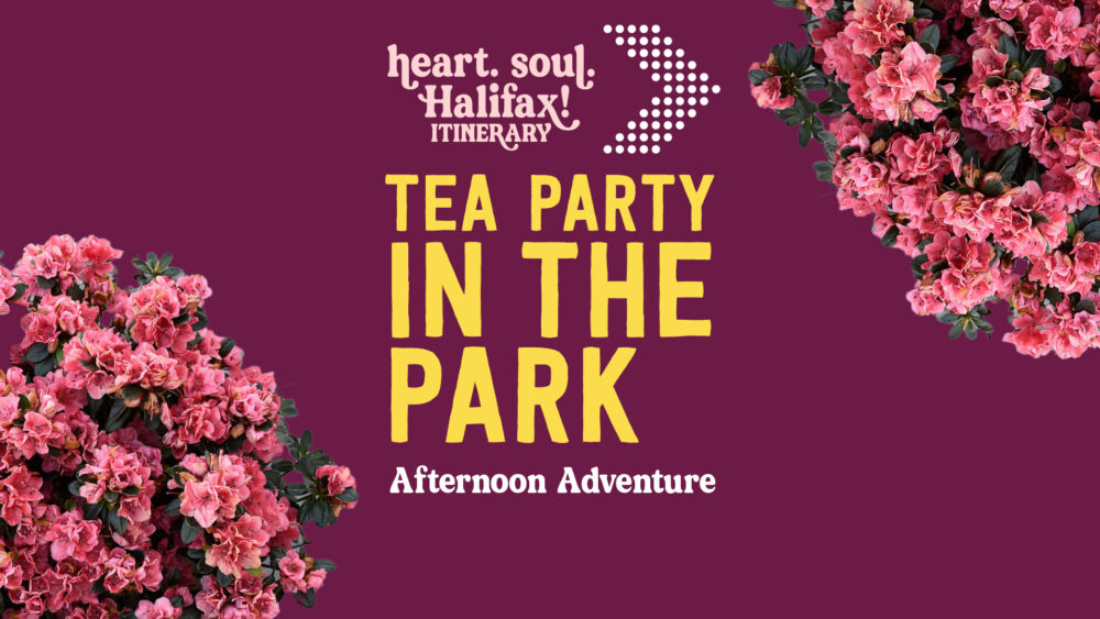 Tea Party in The Park: Afternoon Adventure gallery image