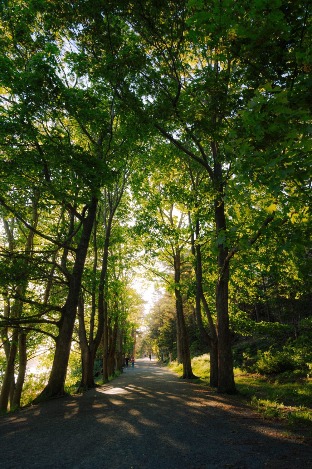 Beaches, Parks & Trails quick navigation card image