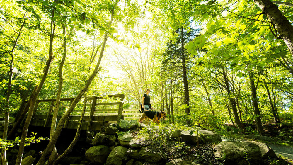 Shubie Canal Greenway gallery image