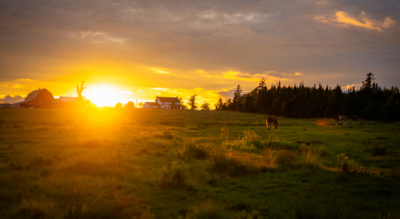 Lindsay Lake Farms & Lodge Ltd. image