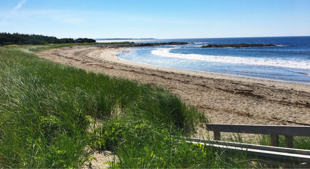 Martinique Beach Provincial Park image