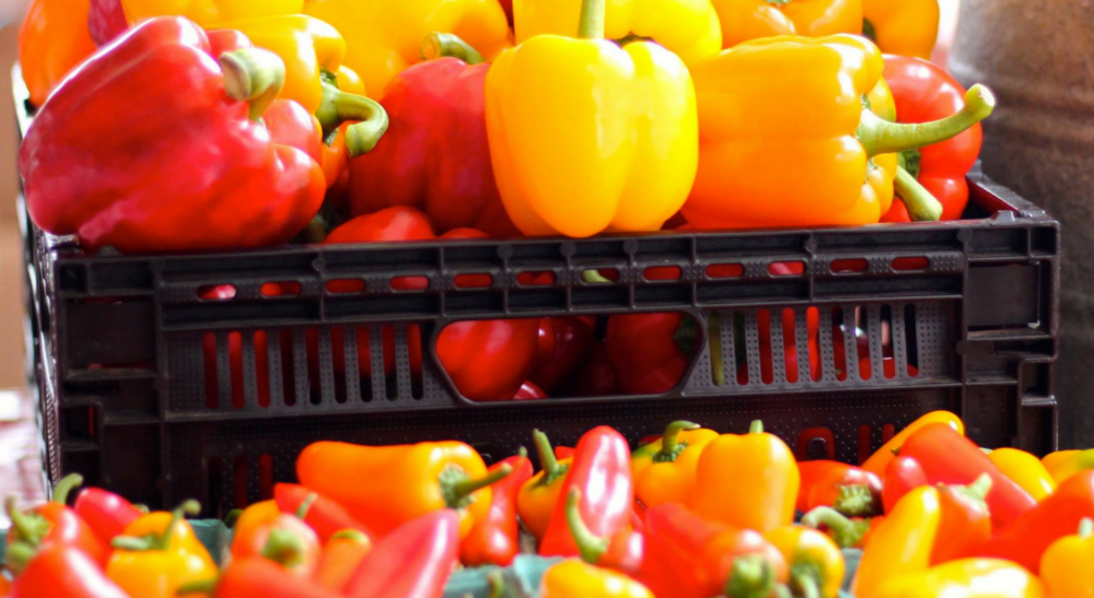 Alderney Landing Farmers Market image
