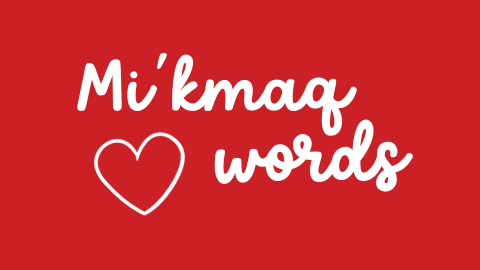 Halifax Kids' Guide Mi'kmaq words