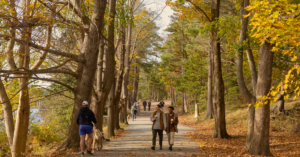 5 Places to Experience Stunning Fall Colours in Halifax image